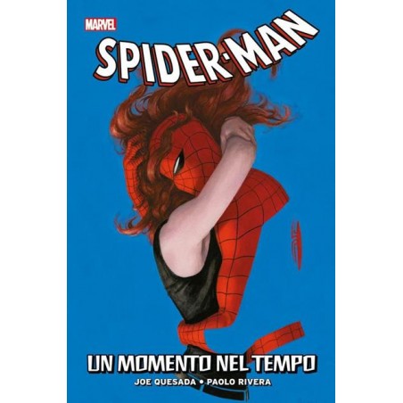PANINI COMICS - SPIDER-MAN SMASCHERATO VOL.4: UN MOMENTO NEL TEMPO