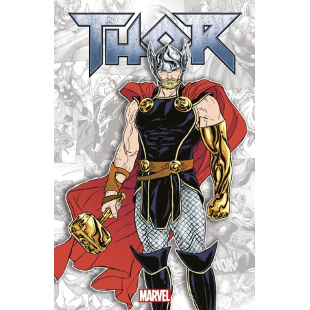 PANINI COMICS - MARVEL-VERSE: THOR