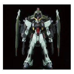 Bandai Master Grade Mobile Suit Gundam GAT-X252 Forbidden Gundam MG 1/100  Full Mechanics