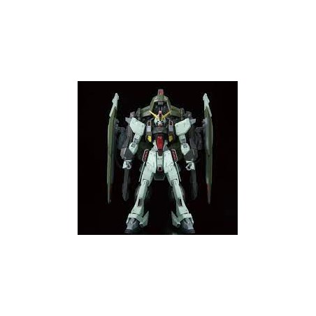 Bandai Master Grade Mobile Suit Gundam GAT-X252 Forbidden Gundam MG 1/100