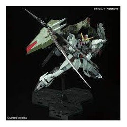 Bandai Master Grade Mobile Suit Gundam GAT-X252 Forbidden Gundam MG 1/100