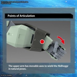 Bandai Master Grade Mobile Suit Gundam GAT-X252 Forbidden Gundam MG 1/100