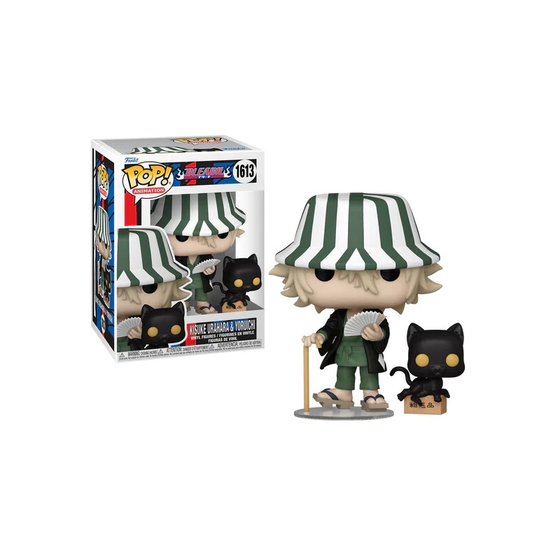 Pop! Animation: Bleach - Kisuke with Yoruichi 1613