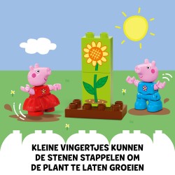 Le jardin et la cabane dans l’arbre de Peppa Pig