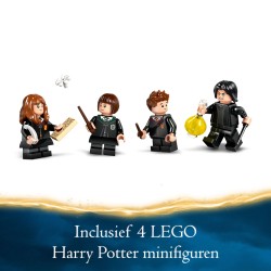 LEGO Harry Potter 76431 Castello di Hogwarts™: Lezione di pozioni