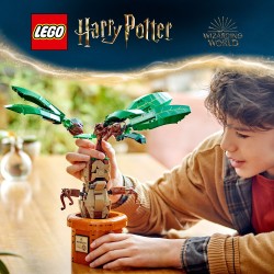 LEGO Harry Potter 76433 Mandragola