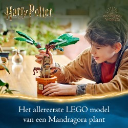 LEGO Harry Potter 76433 Mandragola