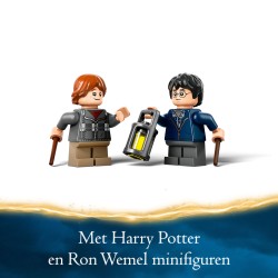 LEGO Harry Potter 76434 Aragog nella Foresta Proibita