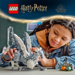 LEGO Harry Potter 76427 Fierobecco