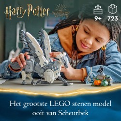 LEGO Harry Potter 76427 Fierobecco