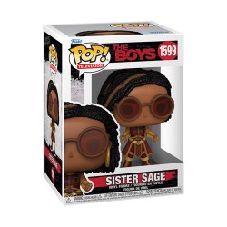 Pop Television - The Boys Sister Sage 1599