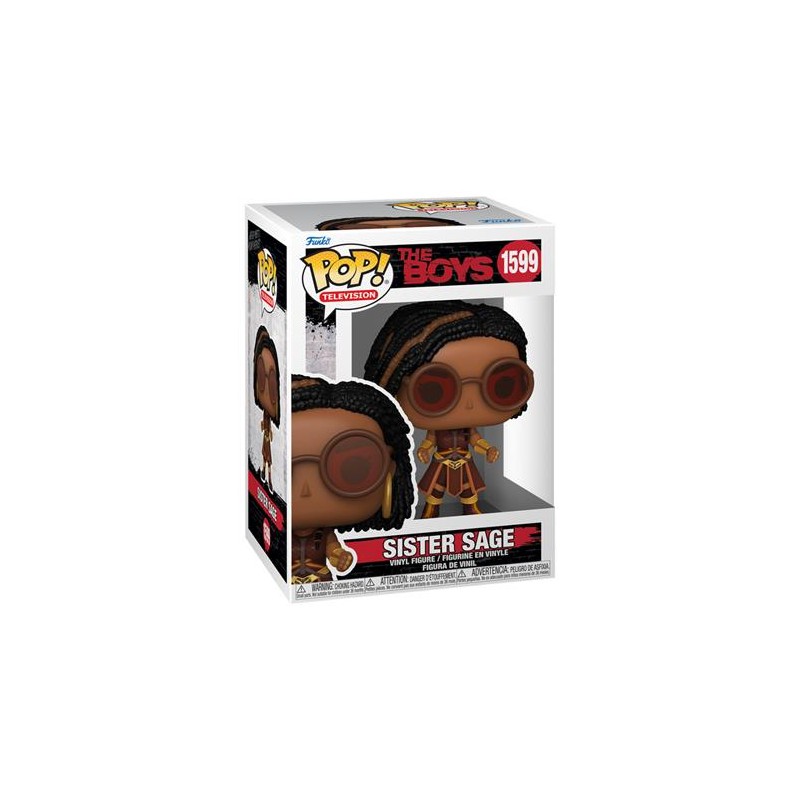 Pop Television - The Boys Sister Sage 1599