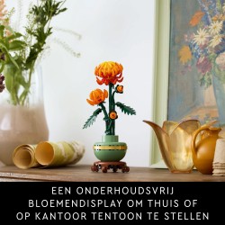 Le chrysanthème