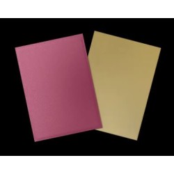 Dragon Shield - 100 Standard Matte Dual Sleeves - Special Edition - Red/Gold