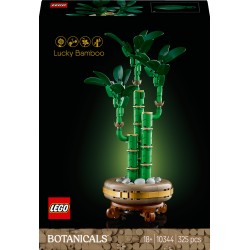 Lucky Bamboo