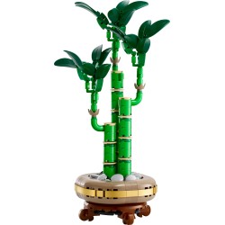 LEGO Botanical 10344 Bambù del buon auspicio