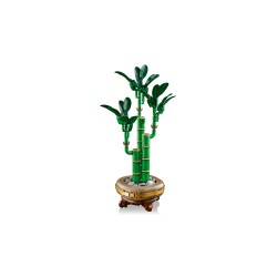 LEGO Botanical 10344 Bambù del buon auspicio