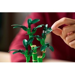 LEGO Botanical 10344 Bambù del buon auspicio