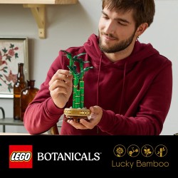 LEGO Botanical 10344 Bambù del buon auspicio