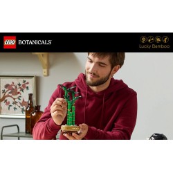 LEGO Botanical 10344 Bambù del buon auspicio