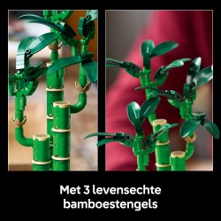 LEGO Botanical 10344 Bambù del buon auspicio