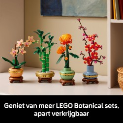 LEGO Botanical 10344 Bambù del buon auspicio