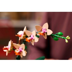 LEGO Botanical 10343 Mini-orchidea