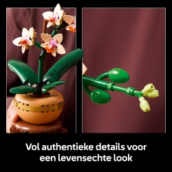 LEGO Botanical 10343 Mini-orchidea