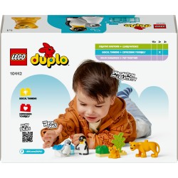 LEGO DUPLO 10442 Famiglie di animali: pinguini e leoni