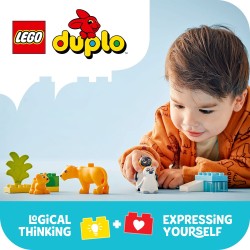 LEGO DUPLO 10442 Famiglie di animali: pinguini e leoni