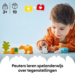 Wildtier-Familien: Pinguine und Löwen