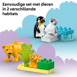 LEGO DUPLO 10442 Famiglie di animali: pinguini e leoni