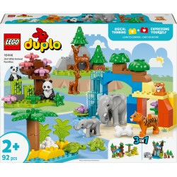 LEGO DUPLO 10446 Famiglie di animali 3 in 1