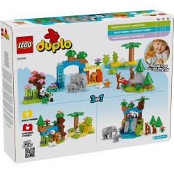 Wildtier-Familien 3-in-1-Set