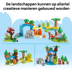 LEGO DUPLO 10446 Famiglie di animali 3 in 1