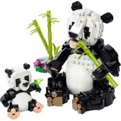 Wilde dieren: pandafamilie