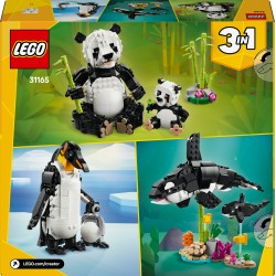 Fauna Salvaje: Familia de Pandas