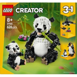 Fauna Salvaje: Familia de Pandas