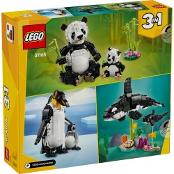 Fauna Salvaje: Familia de Pandas