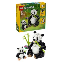 Wild Animals: Panda Family