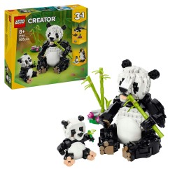 Fauna Salvaje: Familia de Pandas