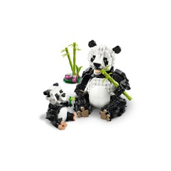 Wilde dieren: pandafamilie