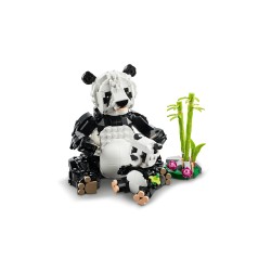 Wilde dieren: pandafamilie