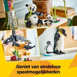 Wilde dieren: pandafamilie