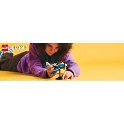 LEGO Creator 3in1 31160 Velivolo: aereo da competizione