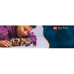 LEGO Harry Potter 76442 Castello di Hogwarts™: Lezione di incantesimi