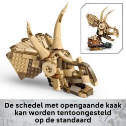 Dinosaurusfossielen: Triceratops schedel