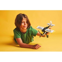 LEGO Technic 42198 Aereo Bush