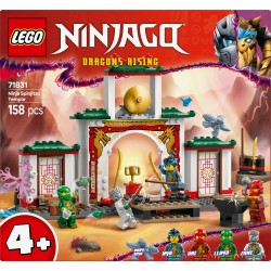 LEGO Ninjago 71831 Tempio dello Spinjitzu Ninja